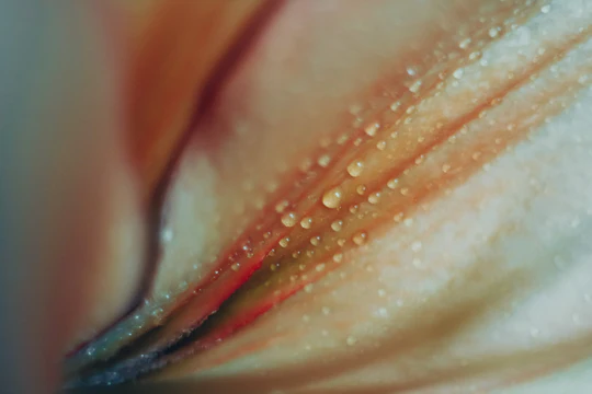Why vaginal pH balance matters